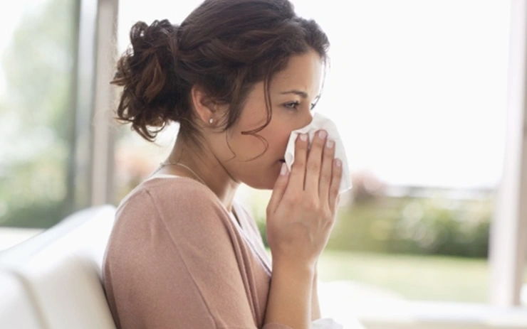 Viêm mũi dị ứng theo mùa (có chu kỳ)