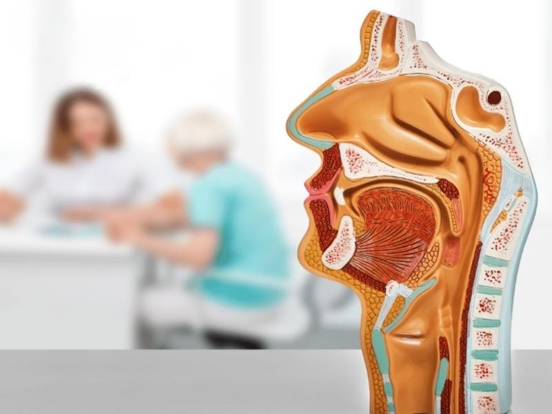 Tầm soát ung thư vòm họng là gì?