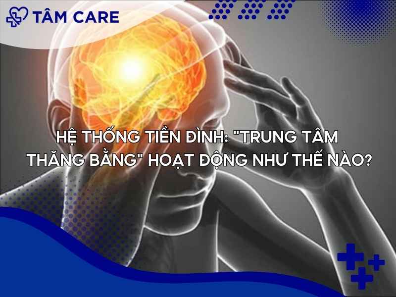 Hệ thống tiền đình: "Trung tâm thăng bằng" hoạt động như thế nào?