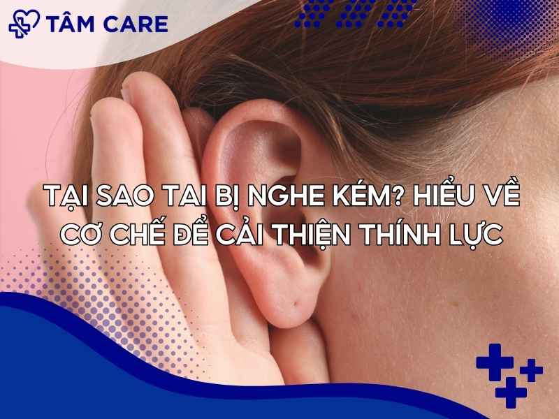 Tại sao tai bị nghe kém? Hiểu về cơ chế để cải thiện thính lực