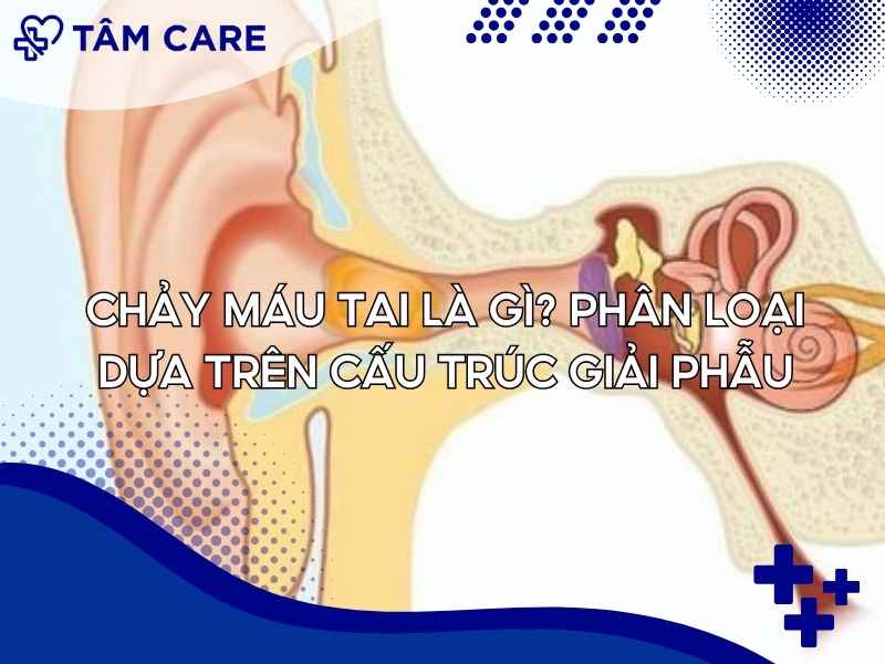 Chảy máu tai là gì? Phân loại dựa trên cấu trúc giải phẫu