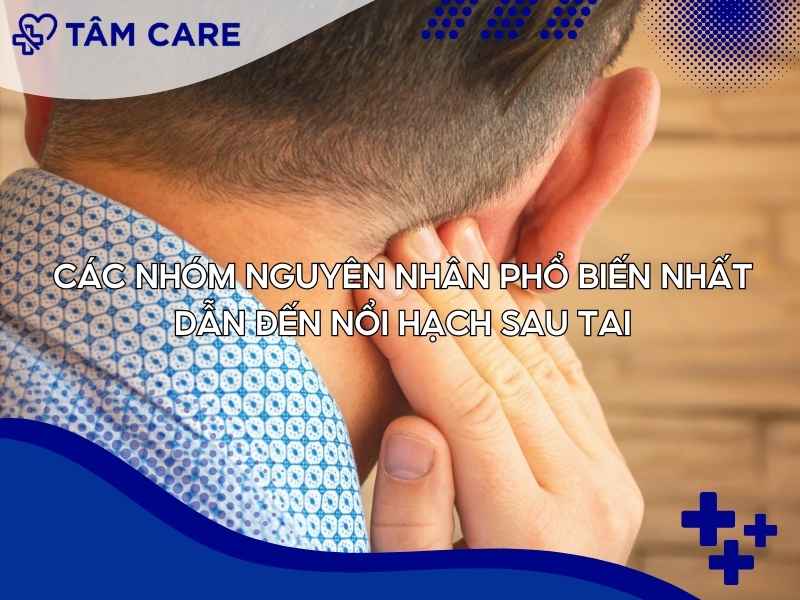 Các nhóm nguyên nhân phổ biến nhất dẫn đến nổi hạch sau tai