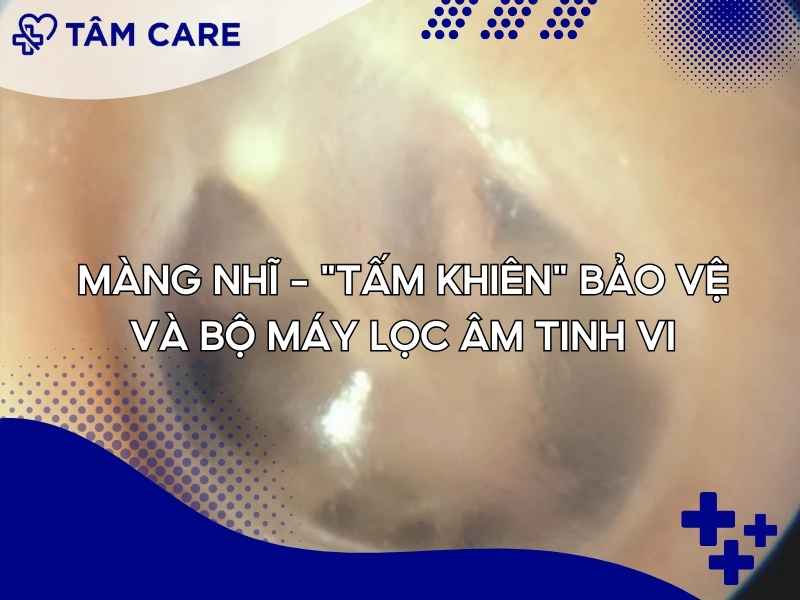 Màng nhĩ – "Tấm khiên" bảo vệ và bộ máy lọc âm tinh viMàng nhĩ – "Tấm khiên" bảo vệ và bộ máy lọc âm tinh vi