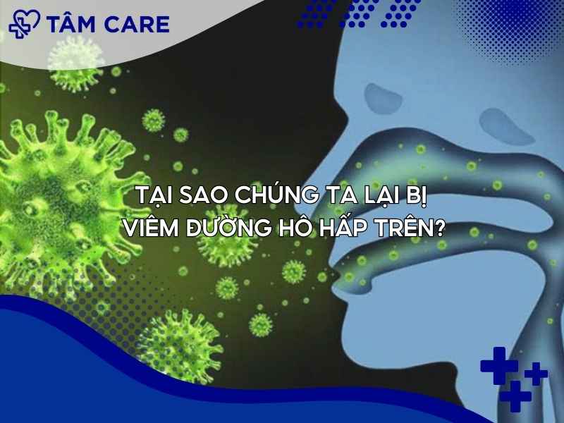 Tại sao chúng ta lại bị viêm đường hô hấp trên?