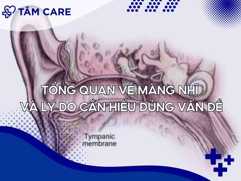Tìm hiểu về màng nhĩ